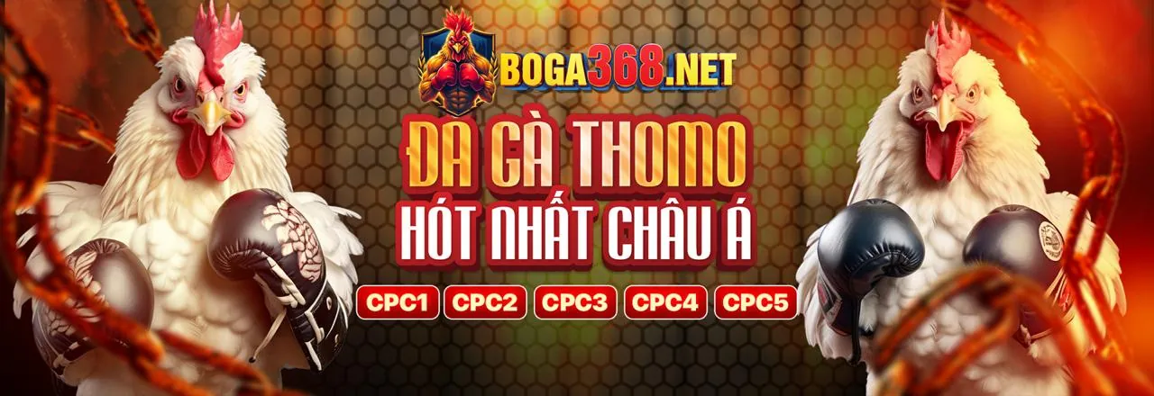 Đá Gà Trực Tuyến Hấp Dẫn Tại 97win11
